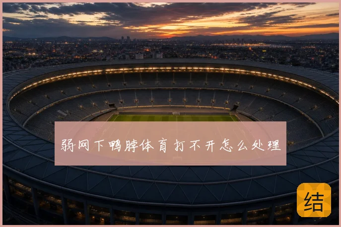 弱网下鸭脖体育打不开怎么处理