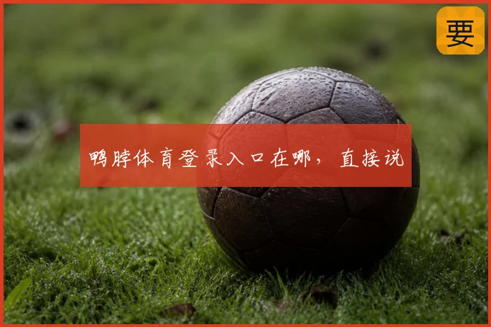 鸭脖体育登录入口在哪,直接说